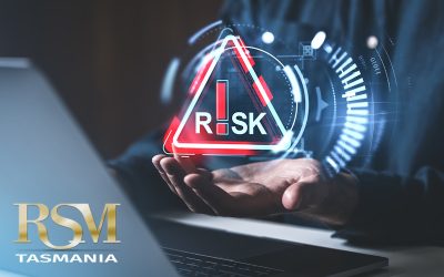 SMALL BUSINESS RISKS 2025