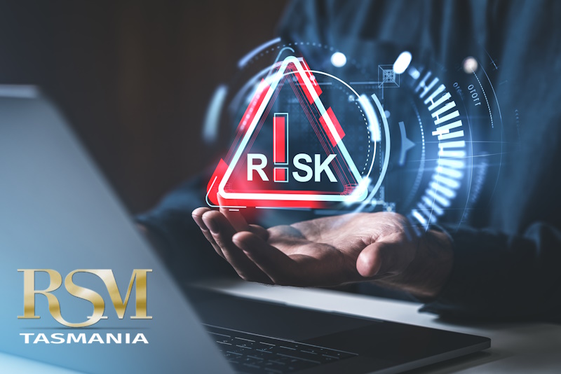 SMALL BUSINESS RISKS 2025