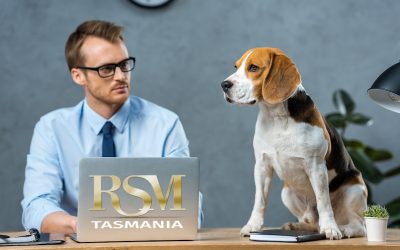 THE PET FRIENDLY WORKPLACE
