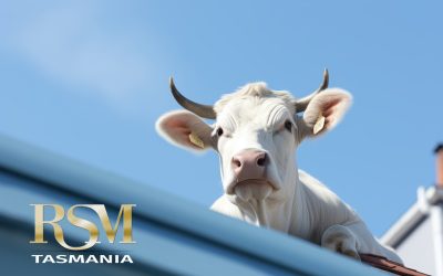 GHOSTS GREMLINS AND INSURANCE