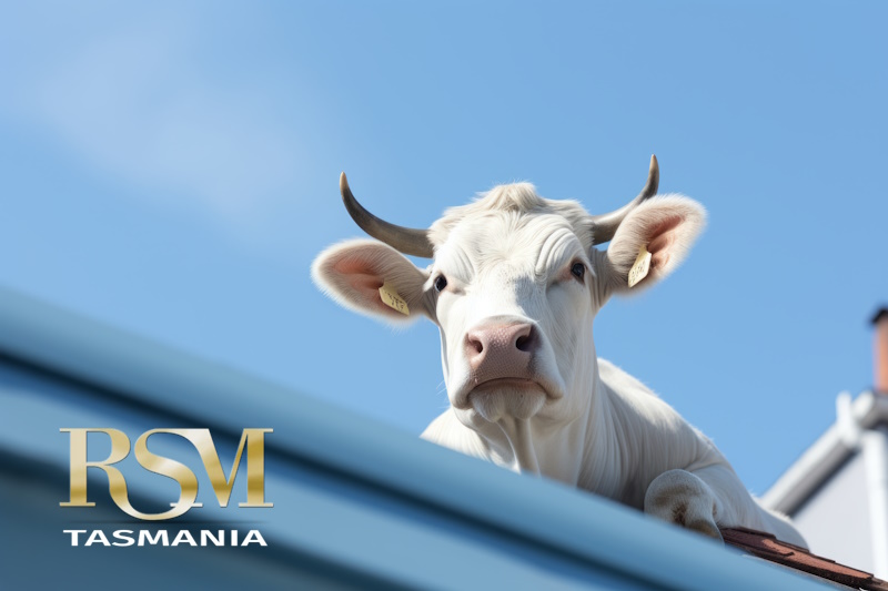 GHOSTS GREMLINS AND INSURANCE